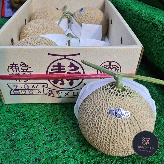 Japan Melon - Shizuoka Crown Melon クラウンメロン