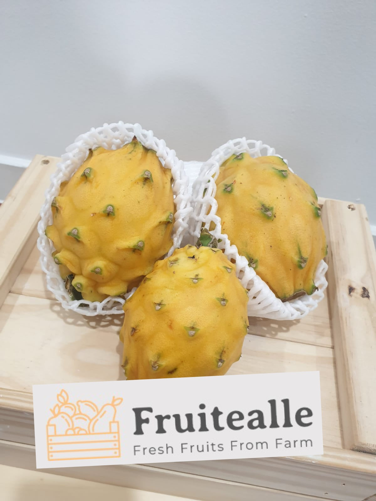 Dragonfruit - Ecuador Yellow Pitahaya