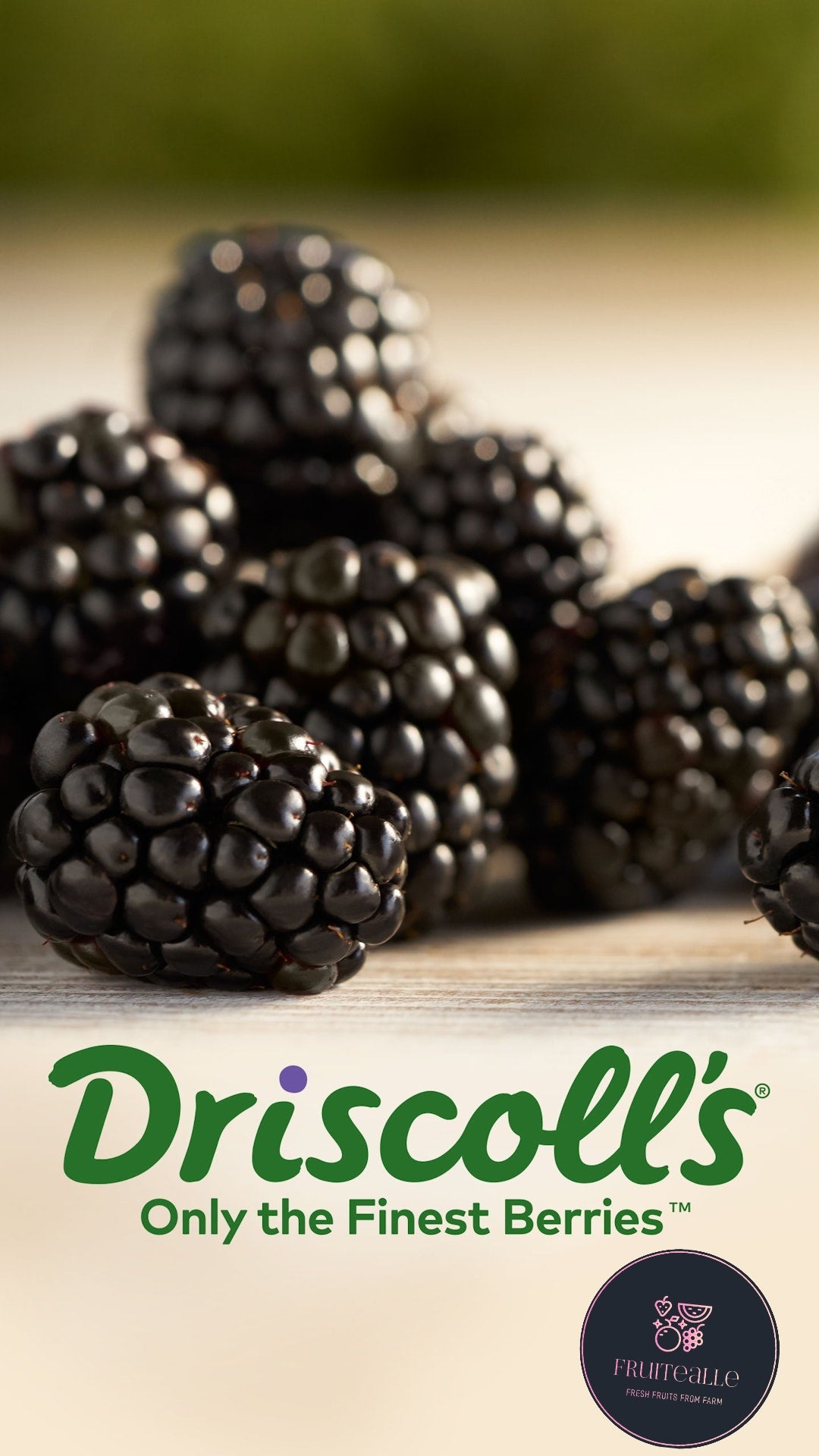Blackberry - Driscoll's Blackberries