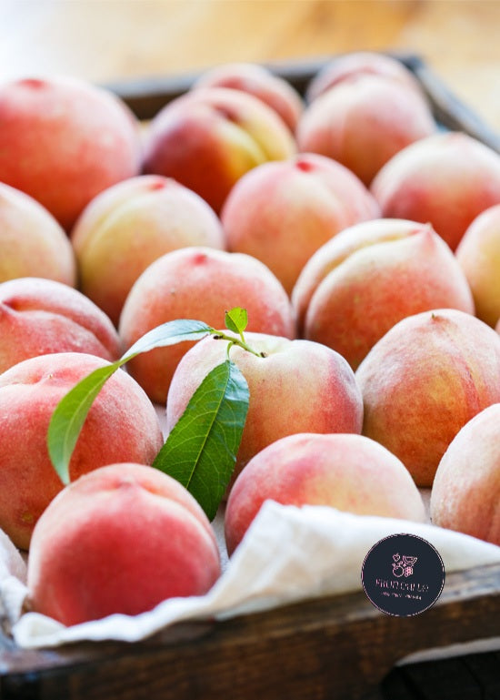 Stone Fruit - Prestige Sweet White Peaches [Yang Shan | 阳山]